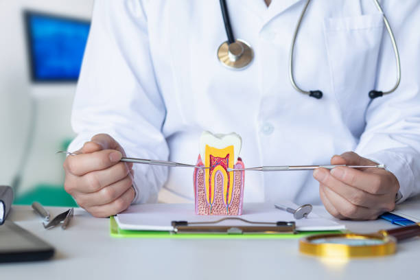Best Same-Day Emergency Dental Services in Fairland, OK